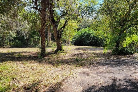 Commercial property in Punta Gorda, Florida № 1657297 - photo 3