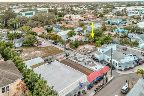Купить земельный участок в Тарпон-Спрингс, Флорида № 1535229 - фото 12