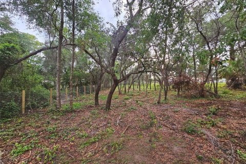 Land in Hudson, Florida № 1771932 - photo 11