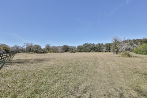 Land in Wimauma, Florida № 2206137 - photo 16