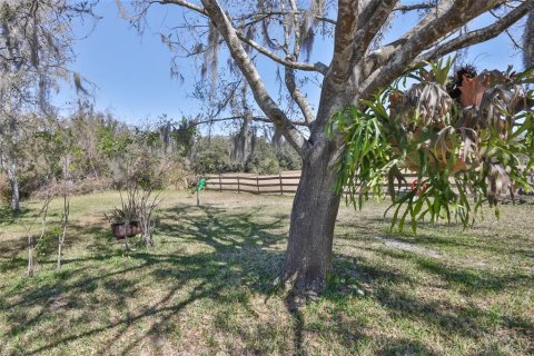 Land in Wimauma, Florida № 2206137 - photo 14