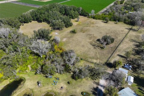 Land in Wimauma, Florida № 2206137 - photo 8