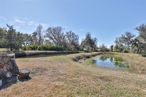 Land in Wimauma, Florida № 2206137 - photo 17