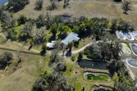 Land in Wimauma, Florida № 2206137 - photo 6