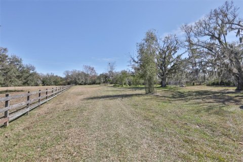 Land in Wimauma, Florida № 2206137 - photo 10