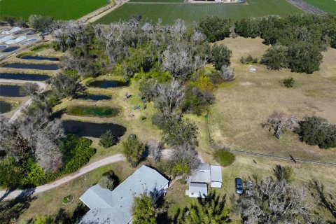 Land in Wimauma, Florida № 2206137 - photo 7