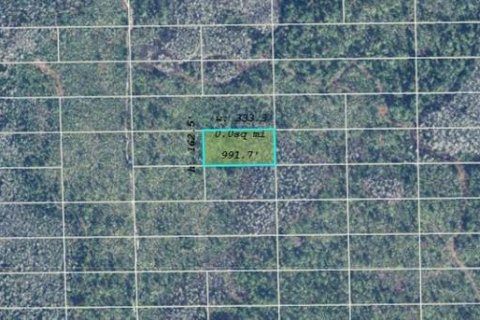 Land in Orlando, Florida № 2163682 - photo 2