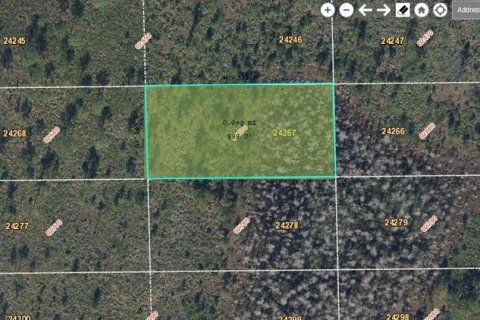 Land in Orlando, Florida № 2163682