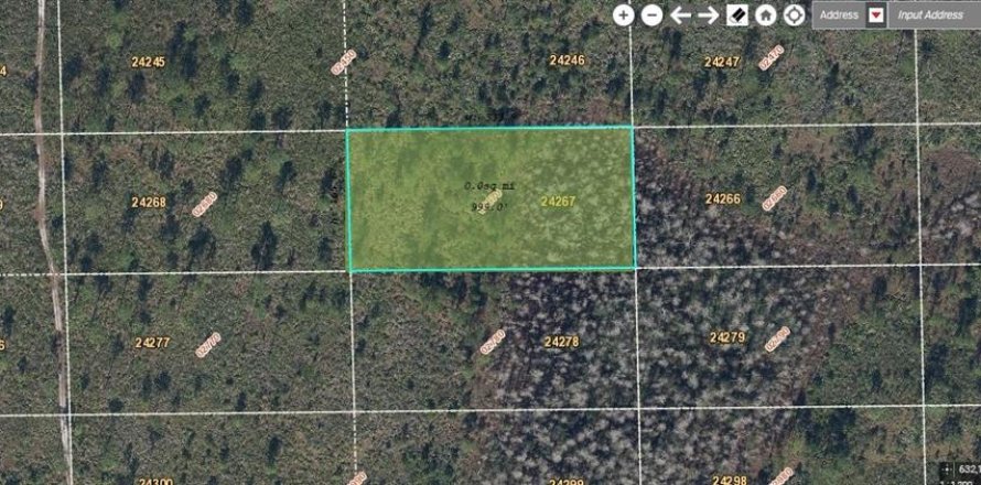 Land in Orlando, Florida № 2163682