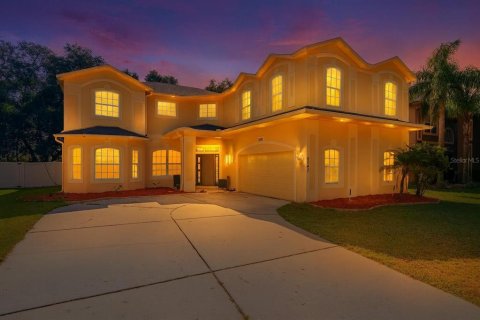 House in STONEYBROOK HILLS in Mount Dora, Florida 5 bedrooms, 362.69 sq.m. № 1917158 - photo 1