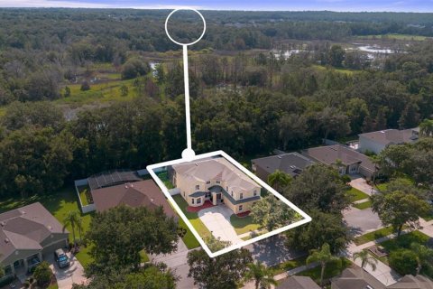 House in STONEYBROOK HILLS in Mount Dora, Florida 5 bedrooms, 362.69 sq.m. № 1917158 - photo 4