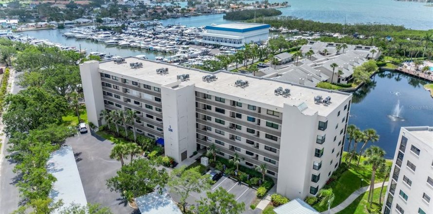 Condo à South Pasadena, Floride, 2 chambres № 1675209