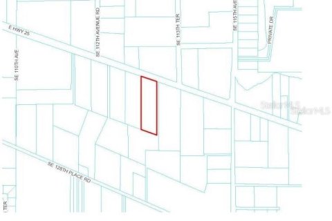 Land in Belleview, Florida № 2144802 - photo 6