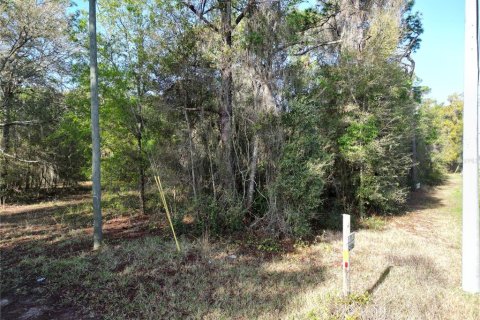 Land in Belleview, Florida № 2144802