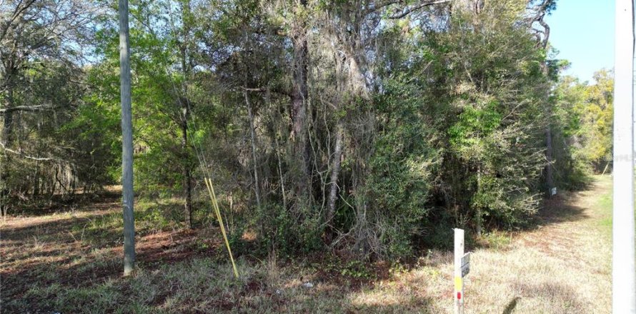 Land in Belleview, Florida № 2144802