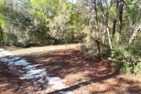 Land in Belleview, Florida № 2144802 - photo 3
