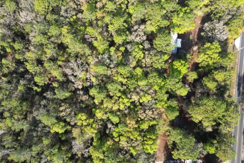 Land in Belleview, Florida № 2144802 - photo 5