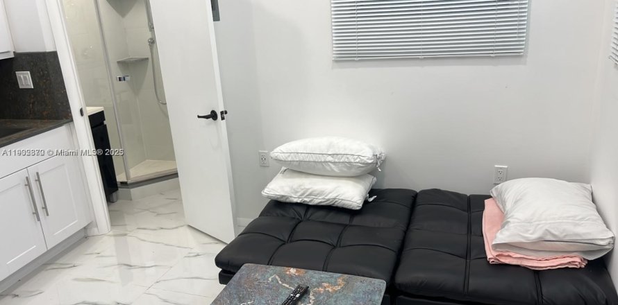 Estudio en Miami Beach, Florida № 1954075