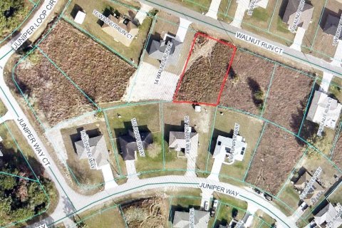 Land in Ocala, Florida № 2159321 - photo 2