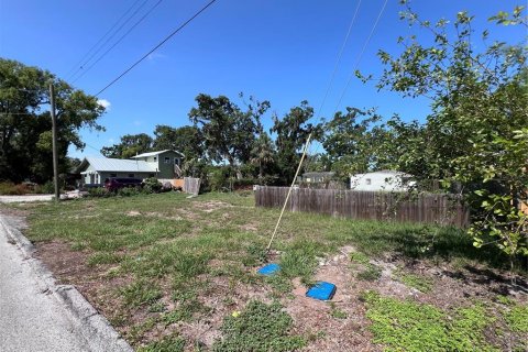Land in Tampa, Florida № 1803181 - photo 5