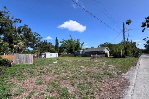 Land in Tampa, Florida № 1803181 - photo 2