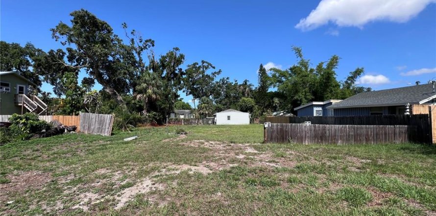 Land in Tampa, Florida № 1803181
