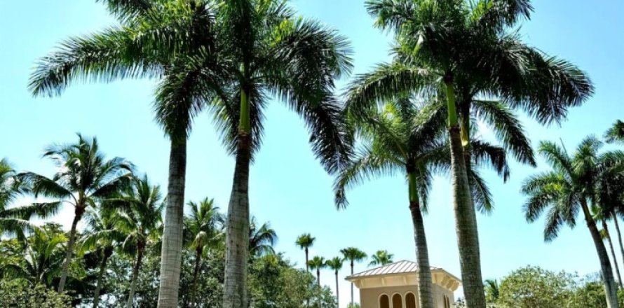 Condo in Royal Palm Beach, Florida, 3 bedrooms № 1223228