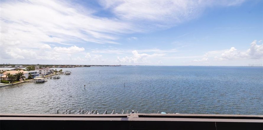 Condo in Tampa, Florida, 3 bedrooms № 2211808