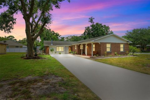 Villa ou maison à vendre à Temple Terrace, Floride: 4 chambres, 229.56 m2 № 1761467 - photo 2