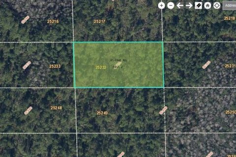 Land in Orlando, Florida № 2161390