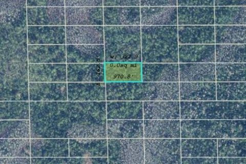 Land in Orlando, Florida № 2161390 - photo 2