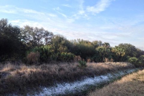 Land in Punta Gorda, Florida № 1670834 - photo 21