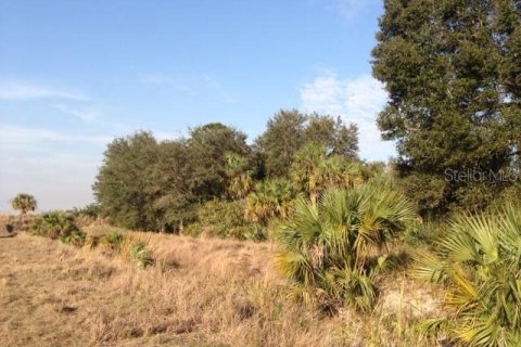 Land in Punta Gorda, Florida № 1670834 - photo 7