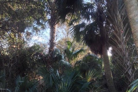 Land in Punta Gorda, Florida № 1670834 - photo 14