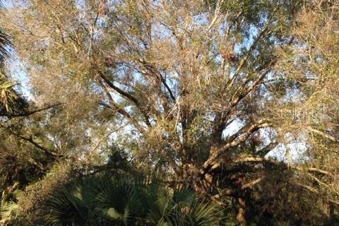 Land in Punta Gorda, Florida № 1670834 - photo 10