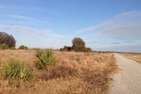 Land in Punta Gorda, Florida № 1670834 - photo 6