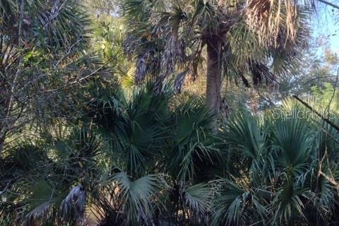 Land in Punta Gorda, Florida № 1670834 - photo 12