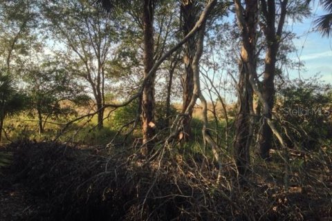 Land in Punta Gorda, Florida № 1670834 - photo 13