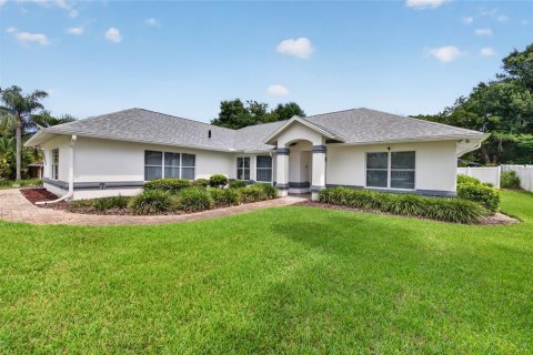 Villa ou maison à New Smyrna Beach, Floride 3 chambres, 171.59 m2 № 2324770