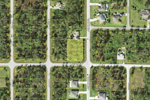 Land in Port Charlotte, Florida № 2212836