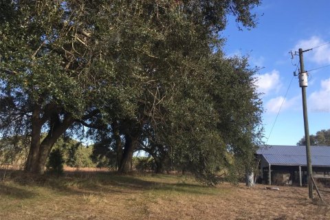 House in Live Oak, Florida 3 bedrooms, 89.19 sq.m. № 1139763 - photo 8