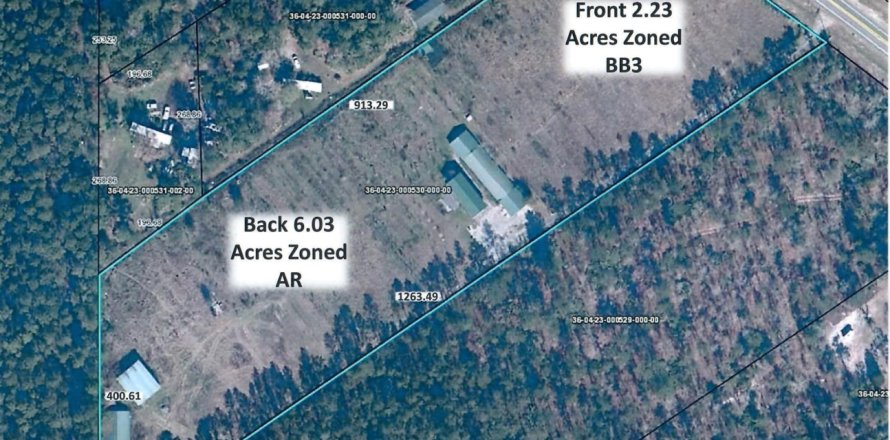 Commercial property in Middleburg, Florida № 765788