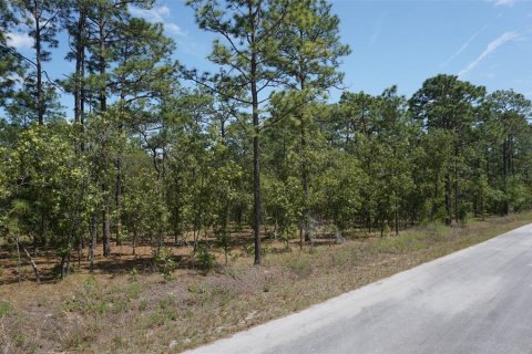 Land in Dunnellon, Florida № 2165970