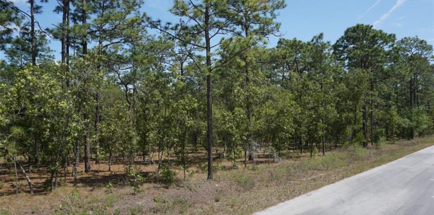 Land in Dunnellon, Florida № 2165970