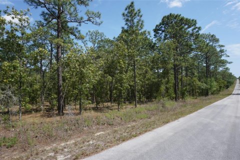 Land in Dunnellon, Florida № 2165970 - photo 2