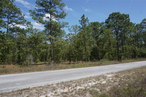 Land in Dunnellon, Florida № 2165970 - photo 3