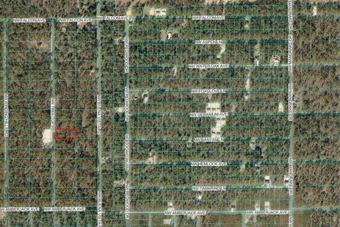Land in Dunnellon, Florida № 2165970 - photo 4