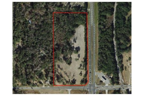 Land in Summerfield, Florida № 213208 - photo 2