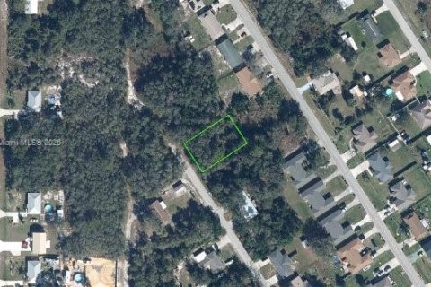 Land in Sebring, Florida № 2169609
