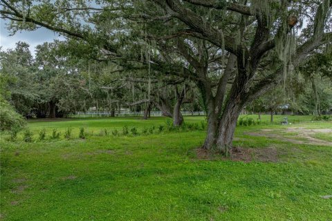 Terrain à vendre à Auburndale, Floride № 2222081 - photo 4